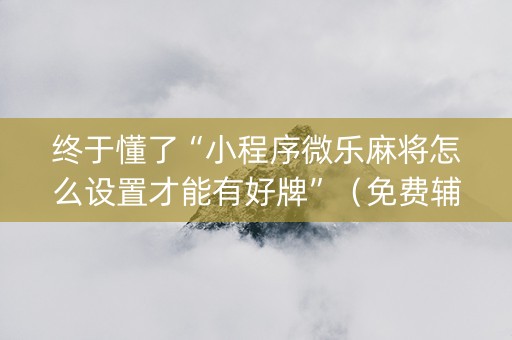 终于懂了“小程序微乐麻将怎么设置才能有好牌”（免费辅助)