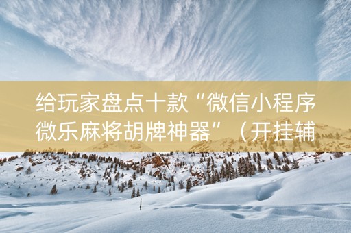 给玩家盘点十款“微信小程序微乐麻将胡牌神器”（开挂辅助脚本)