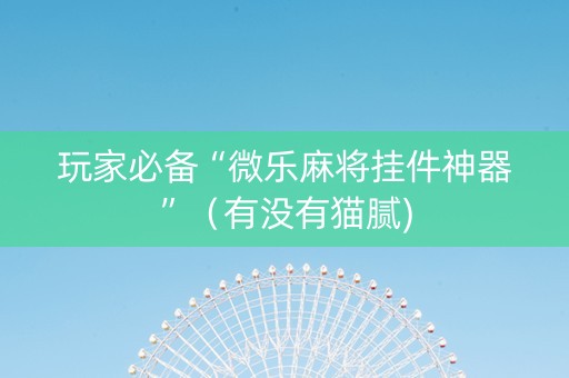 玩家必备“微乐麻将挂件神器”（有没有猫腻)