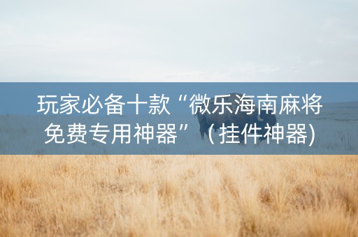 玩家必备十款“微乐海南麻将免费专用神器”（挂件神器)