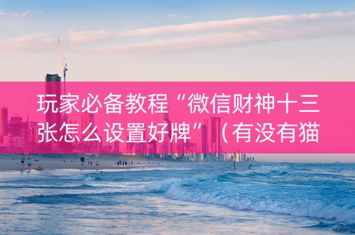 玩家必备教程“微信财神十三张怎么设置好牌”（有没有猫腻)