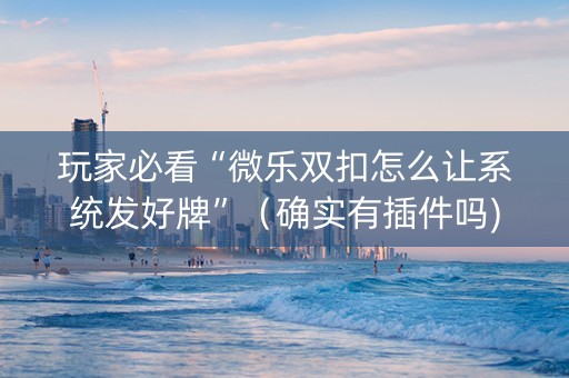 玩家必看“微乐双扣怎么让系统发好牌”（确实有插件吗)