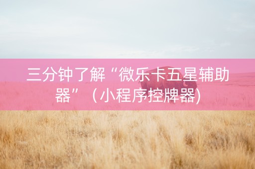 三分钟了解“微乐卡五星辅助器”（小程序控牌器)
