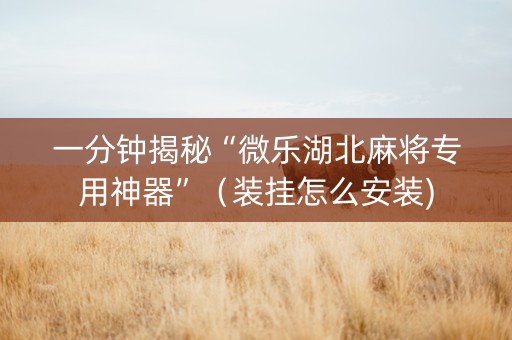 一分钟揭秘“微乐湖北麻将专用神器”（装挂怎么安装)