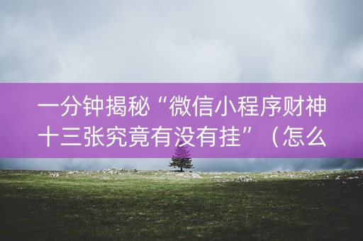 一分钟揭秘“微信小程序财神十三张究竟有没有挂”（怎么提高胜率)
