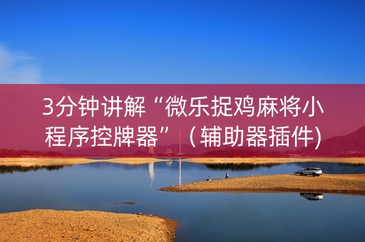 3分钟讲解“微乐捉鸡麻将小程序控牌器”（辅助器插件)