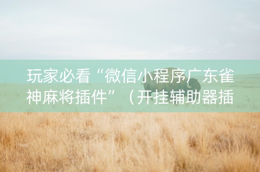 玩家必看“微信小程序广东雀神麻将插件”（开挂辅助器插件)