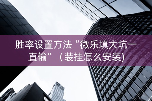 胜率设置方法“微乐填大坑一直输”（装挂怎么安装)