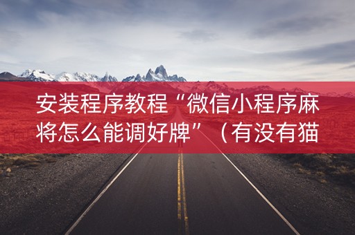 安装程序教程“微信小程序麻将怎么能调好牌”（有没有猫腻)