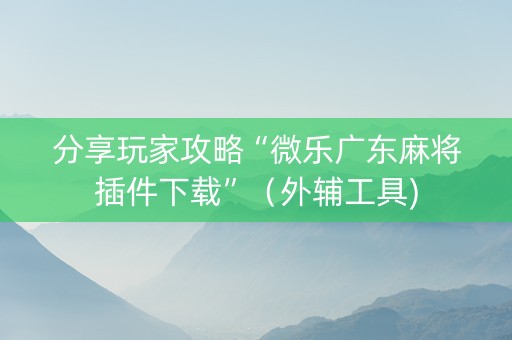 分享玩家攻略“微乐广东麻将插件下载”（外辅工具)
