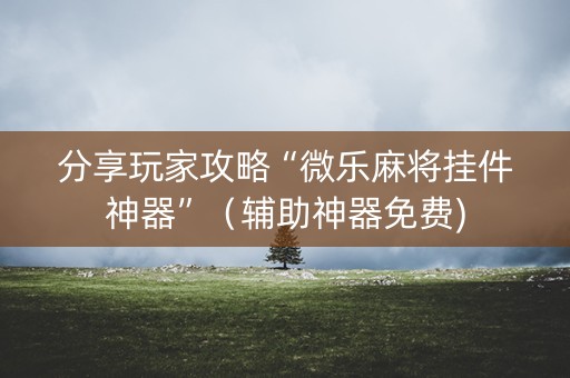 分享玩家攻略“微乐麻将挂件神器”（辅助神器免费)