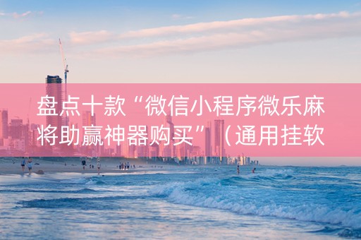 盘点十款“微信小程序微乐麻将助赢神器购买”（通用挂软件多少钱)