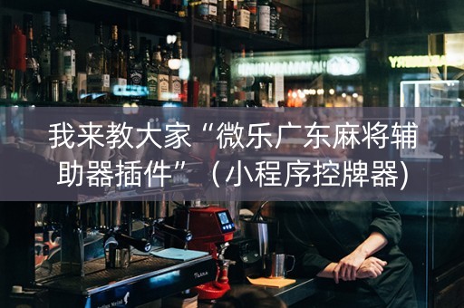 我来教大家“微乐广东麻将辅助器插件”（小程序控牌器)