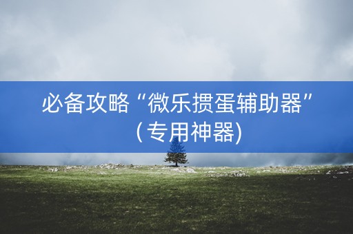 必备攻略“微乐掼蛋辅助器”（专用神器)