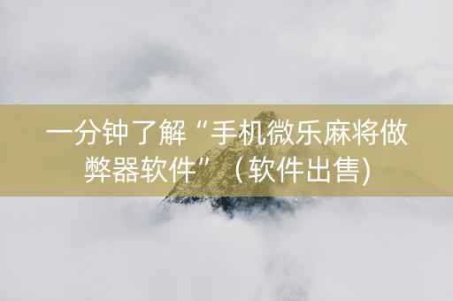 一分钟了解“手机微乐麻将做弊器软件”（软件出售)