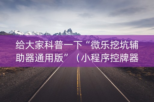 给大家科普一下“微乐挖坑辅助器通用版”（小程序控牌器)