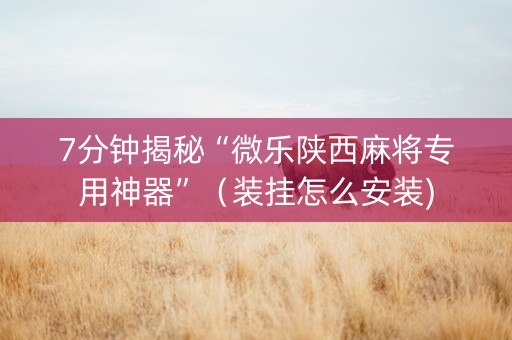 7分钟揭秘“微乐陕西麻将专用神器”（装挂怎么安装)