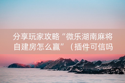 分享玩家攻略“微乐湖南麻将自建房怎么赢”（插件可信吗)