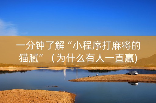 一分钟了解“小程序打麻将的猫腻”（为什么有人一直赢)