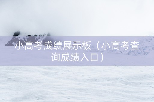 小高考成绩展示板（小高考查询成绩入口）