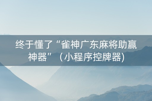 终于懂了“雀神广东麻将助赢神器”（小程序控牌器)