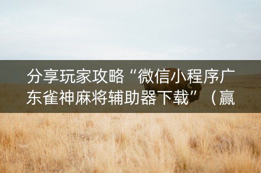 分享玩家攻略“微信小程序广东雀神麻将辅助器下载”（赢的技巧规律)