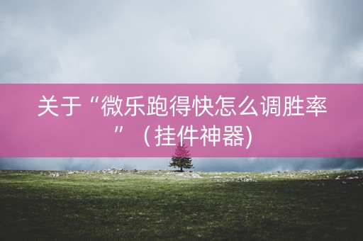 关于“微乐跑得快怎么调胜率”（挂件神器)