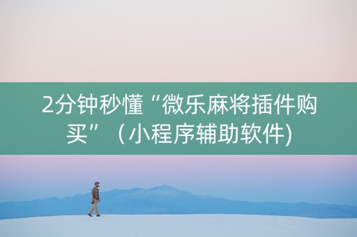 2分钟秒懂“微乐麻将插件购买”（小程序辅助软件)