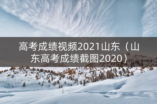 高考成绩视频2021山东（山东高考成绩截图2020）