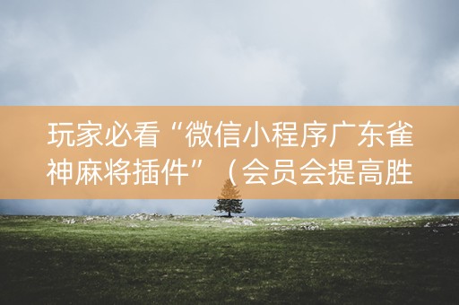 玩家必看“微信小程序广东雀神麻将插件”（会员会提高胜率吗)