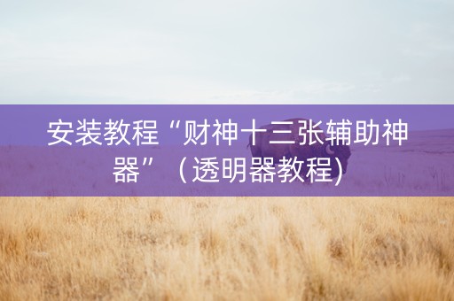 安装教程“财神十三张辅助神器”（透明器教程)
