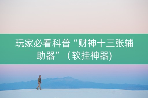 玩家必看科普“财神十三张辅助器”（软挂神器)