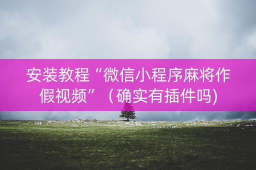 安装教程“微信小程序麻将作假视频”（确实有插件吗)