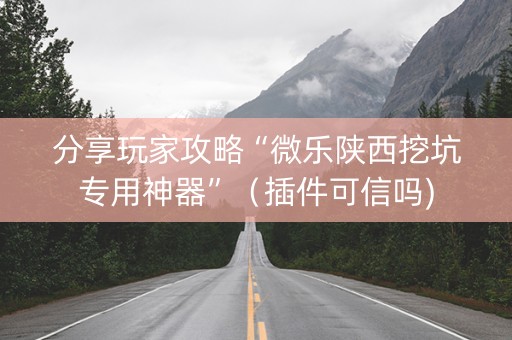 分享玩家攻略“微乐陕西挖坑专用神器”（插件可信吗)