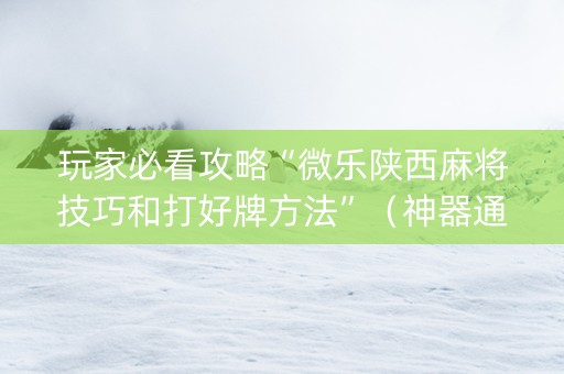 玩家必看攻略“微乐陕西麻将技巧和打好牌方法”（神器通用版)