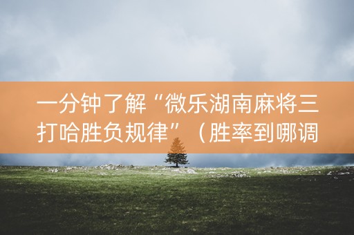 一分钟了解“微乐湖南麻将三打哈胜负规律”（胜率到哪调)