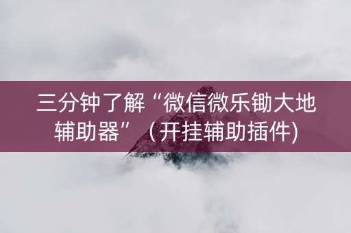 三分钟了解“微信微乐锄大地辅助器”（开挂辅助插件)