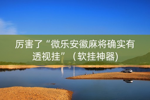 厉害了“微乐安徽麻将确实有透视挂”（软挂神器)