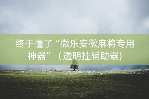 终于懂了“微乐安徽麻将专用神器”（透明挂辅助器)
