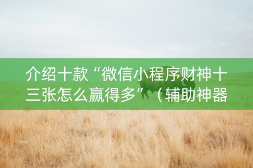介绍十款“微信小程序财神十三张怎么赢得多”（辅助神器免费)