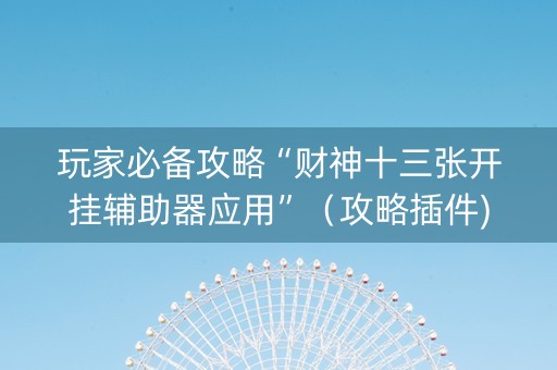玩家必备攻略“财神十三张开挂辅助器应用”（攻略插件)