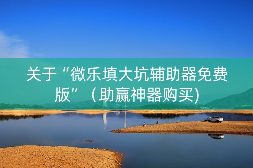 关于“微乐填大坑辅助器免费版”（助赢神器购买)