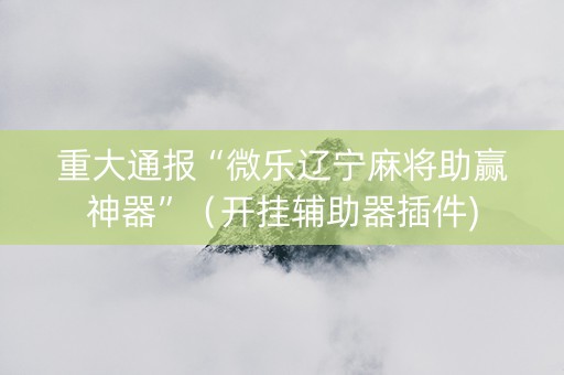 重大通报“微乐辽宁麻将助赢神器”（开挂辅助器插件)