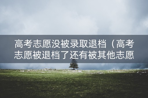 高考志愿没被录取退档（高考志愿被退档了还有被其他志愿录取的可能吗）