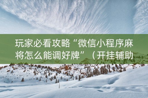玩家必看攻略“微信小程序麻将怎么能调好牌”（开挂辅助器脚本)