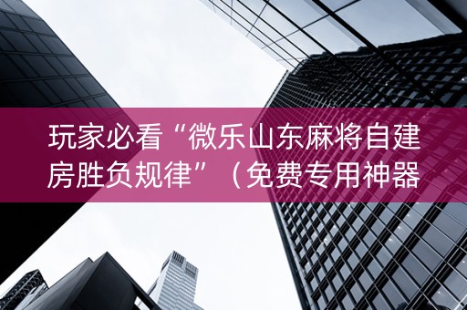 玩家必看“微乐山东麻将自建房胜负规律”（免费专用神器)