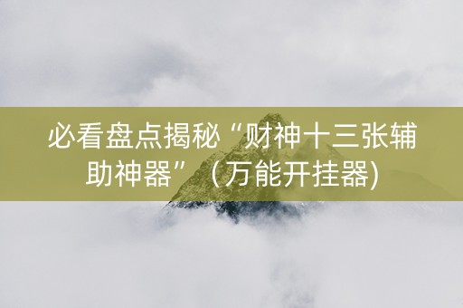 必看盘点揭秘“财神十三张辅助神器”（万能开挂器)