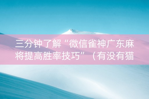 三分钟了解“微信雀神广东麻将提高胜率技巧”（有没有猫腻)