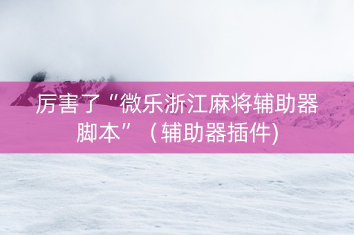 厉害了“微乐浙江麻将辅助器脚本”（辅助器插件)
