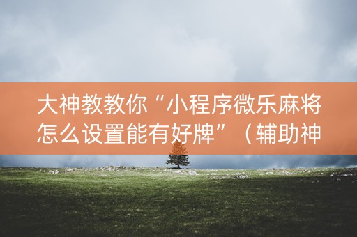 大神教教你“小程序微乐麻将怎么设置能有好牌”（辅助神器免费)